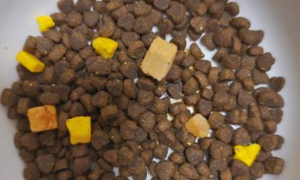 乐施昆虫蛋白全价粮：一款具有高营养价值的创新型宠物食品