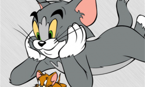 困扰多年的谜题：捉了80年老鼠的汤姆猫是什么品种？