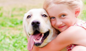 夏季，狗狗非常容易患上这五种病症，请宠主小心喂养