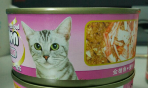 金赏猫罐头是零食还是主食？