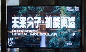 源味九分“分子营养 机能再造”新品发布沙龙在上海召开