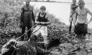 男子野外捕获鳄鱼带回家养 一起生活40年之久