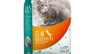 贝卓猫粮的喂食方法：掌握量与频率，确保猫咪健康