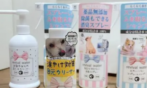 日本orp特许水宠物耳部护理液好不好？来看看吧