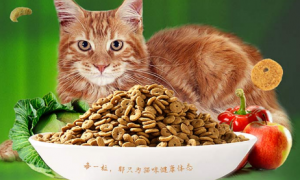 骏域猫粮：满足猫咪全面营养需求的佳品