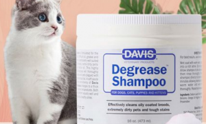 戴维斯猫咪去油膏：轻松解决猫咪皮肤油腻问题