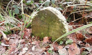 幸福兔兔墓碑发现在树林 130年后被后世人缅怀