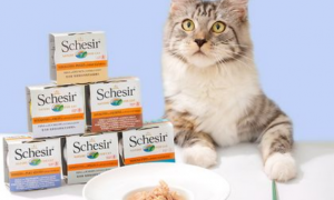 雪诗雅猫罐头：满足猫咪的味蕾与健康需求