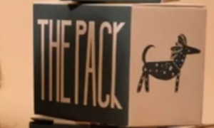The Pack丨一个素食狗粮品牌