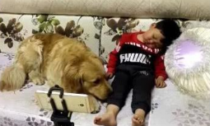 小主人和狗狗一起玩太累了,立即睡沙发上,小狗下面个人行为令人打动