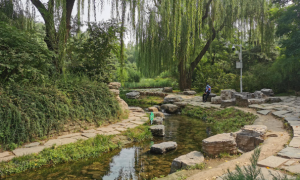 北京动物园溪流景观设警示牌 游客投喂多格特青长尾猴屡禁不止