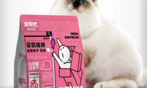 宠倪欢猫粮：质量卓越的宠物食品品牌