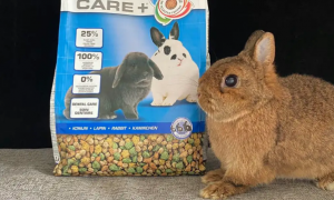 威霸兔粮是哪个国家的？兔粮质量怎么样？