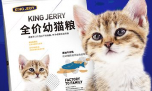 kingjerry猫粮品质如何？来看看吧！