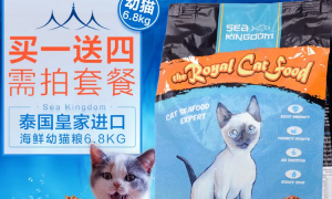seakingdom泰国猫粮怎么样？了解一下