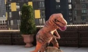 小黄金猎犬乱入镜头乱跑 主人演侏罗纪公园被搞砸