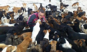 暖男每日被750只流浪犬包围着，界面无比震撼人心，餐费一月8万