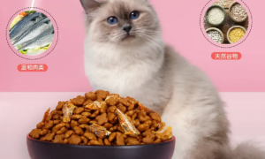 围裙猫猫粮怎么样：一款注重营养均衡的优质猫粮