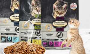 欧恩焙猫粮：猫咪绝育的首选猫粮