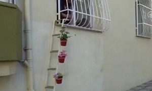 土国女子在窗外架梯子 让流浪猫进屋取暖