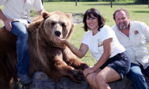 美国训熊师一家把13只熊当做宠物饲养