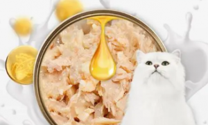 够味居猫罐头：让猫咪享受美味与健康的双重盛宴