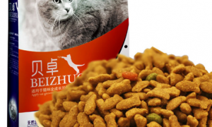 贝卓猫粮测评：给猫咪提供全面营养的优质选择