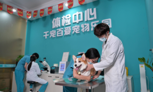 福州千宠百爱宠物医院：我们为呵护宠物健康的这二年