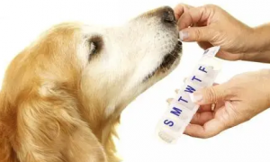 麦乐萌宠物药品——专业、安全、有效的宠物药品选择