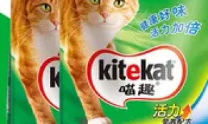 喵趣猫粮：猫粮的优质选择