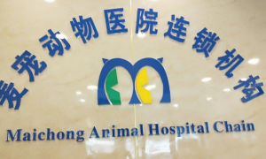 麦宠动物医院(固安分院)——全方位医疗服务