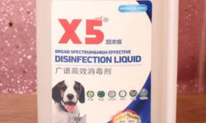 广谱x5消毒液可以对宠物消毒吗？来了解下吧