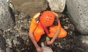 绿蠵龟误触渔网搁浅下水道 澎湖岸巡逻救了它