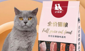 亿佳果猫粮：营养丰富，美味可口的猫粮新选择