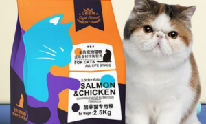 皇恒赛级猫粮：是猫咪营养的优质选择