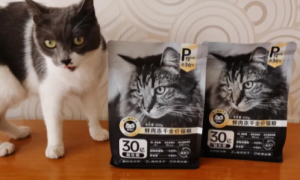 金多乐猫粮测评：给猫咪提供全面营养的优质选择