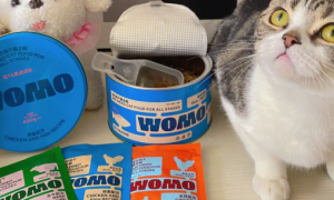 womo猫粮评测：全面均衡营养给宠物最健康的快乐