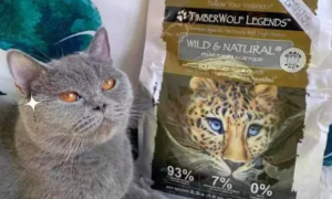 Timberwolf草本魔力猫粮是国产还是进口？