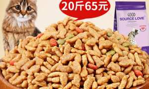 Sourcelove猫粮测评：为你的猫咪提供健康与美味的饮食选择