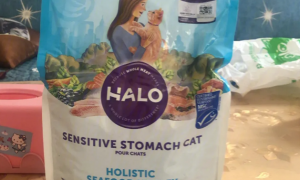 Halo猫粮：品质与健康的双重保障