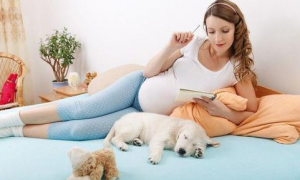 狗狗会对孕妇有影响吗？