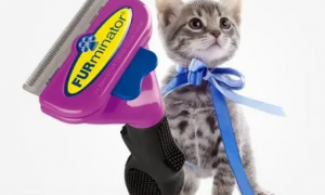 富美内特FURminator：引领宠物美容新潮流的国际品牌
