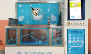 一文详解：宠物洗澡机器人是什么东西
