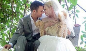 顶级“猫奴”的婚礼 1100只猫见证了他们的爱情誓言