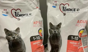 益之选猫粮评测，益之选猫粮属于高端猫粮吗？