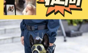 提问：警犬在普通狗狗眼里算警察吗？