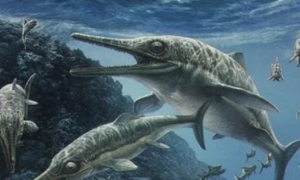 科学家发现1.5亿年前“鱼龙”：胃中残留没消化的乌贼
