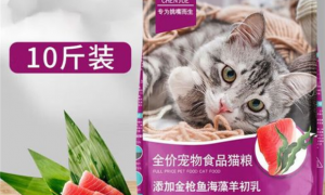 猫粮科普：晨崛猫粮属于什么档次？