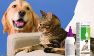 速耳爽耳道清洁液，更好的呵护宠物健康！