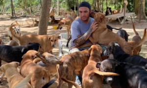 飓风来临，男子把约300只狗狗搬回家，疯狂行为救了所有狗狗性命